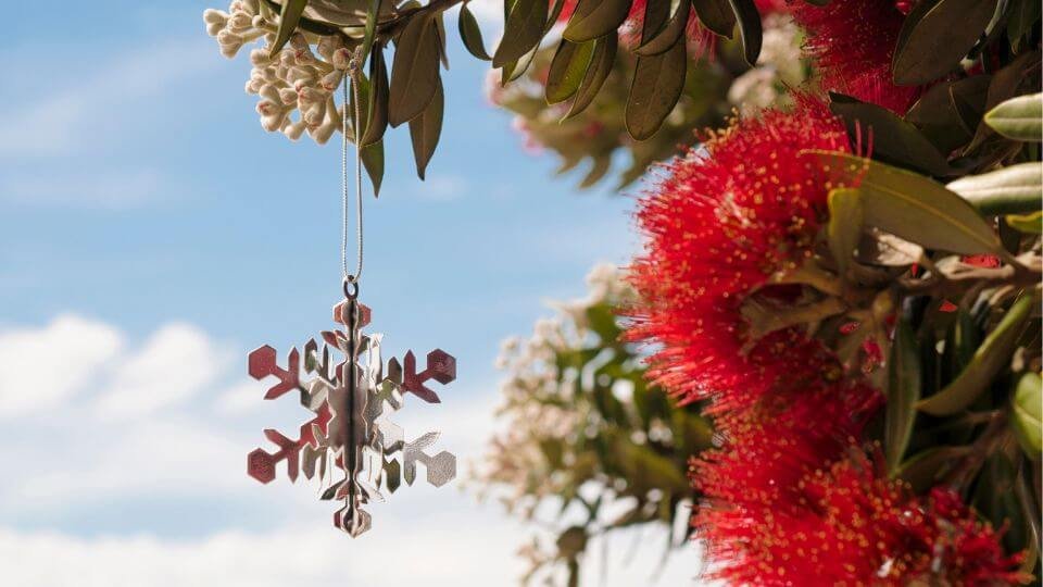 Pohutukawa tree, Christmas in New Zealand